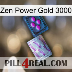 Zen Power Gold 3000 37